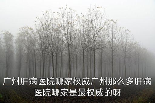 廣州肝病醫院哪家權威廣州那么多肝病醫院哪家是最權威的呀
