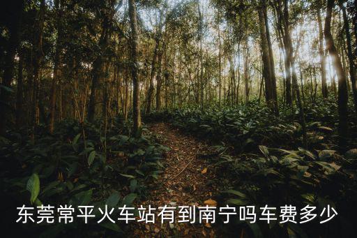 東莞常平火車站有到南寧嗎車費(fèi)多少