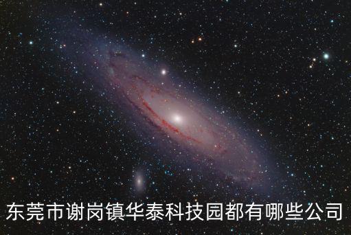 東莞市謝崗鎮華泰科技園都有哪些公司