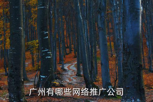 廣州有哪些網絡推廣公司