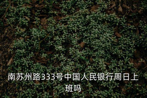 南蘇州路333號中國人民銀行周日上班嗎