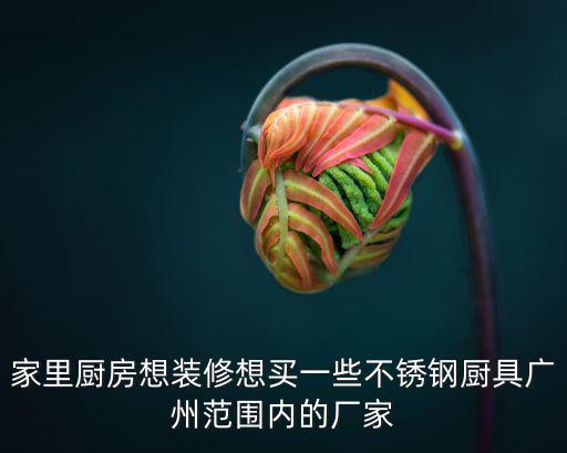 家里廚房想裝修想買(mǎi)一些不銹鋼廚具廣州范圍內(nèi)的廠家