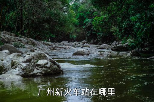 廣州新火車站在哪里
