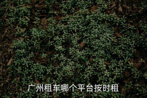 廣州租車哪個(gè)平臺(tái)按時(shí)租