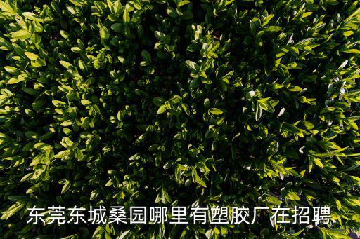 東莞東城桑園哪里有塑膠廠在招聘