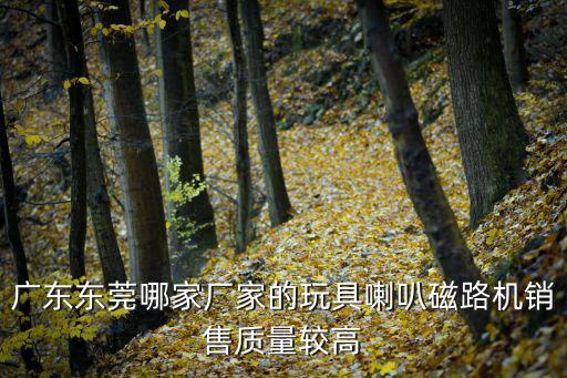東莞匯昌織染有限公司，廣東東莞哪家廠家的玩具喇叭磁路機銷售質量較高