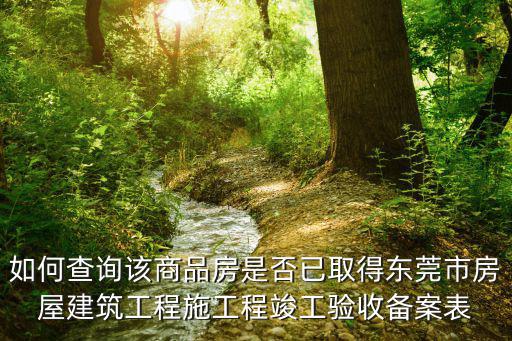 東莞建設網，東莞網站建設