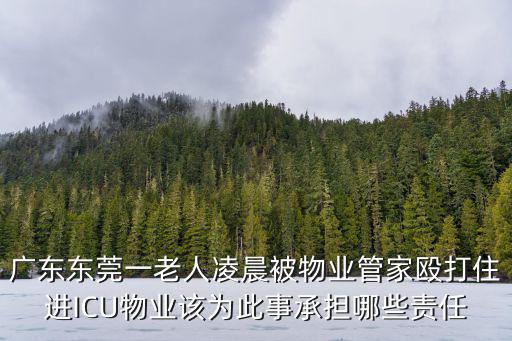 廣東東莞一老人凌晨被物業(yè)管家毆打住進(jìn)ICU物業(yè)該為此事承擔(dān)哪些責(zé)任