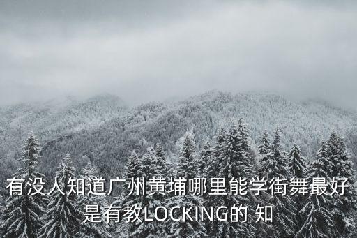 有沒人知道廣州黃埔哪里能學街舞最好是有教LOCKING的 知