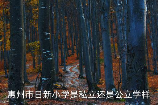 惠州市日新小學(xué)是私立還是公立學(xué)樣