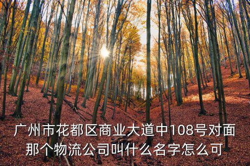 廣州市花都區商業大道中108號對面那個物流公司叫什么名字怎么可