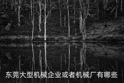 東莞大型機(jī)械企業(yè)或者機(jī)械廠有哪些