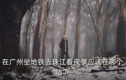 廣州東方賓館到珠江夜游，在廣州坐地鐵去珠江看夜景應該在哪個站下