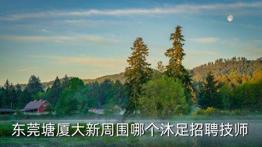 廣東東莞市那間沐足場招男技師，東莞塘廈大新周圍哪個沐足招聘技師
