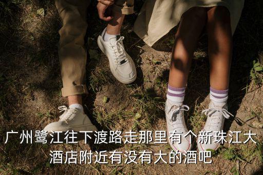 廣州鷺江附近酒店預訂，廣州鷺江往下渡路走那里有個新珠江大酒店附近有沒有大的酒吧