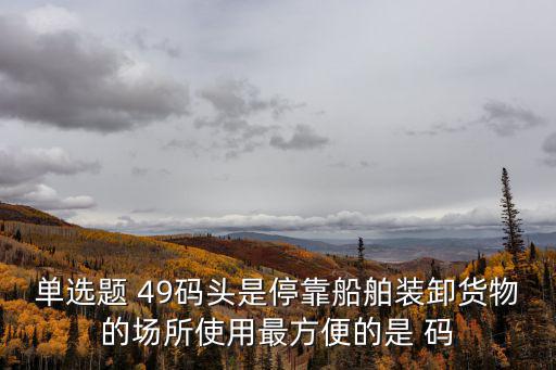 廣州港 船舶裝卸動態(tài)，單選題 49碼頭是停靠船舶裝卸貨物的場所使用最方便的是 碼