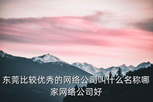 東莞比較優(yōu)秀的網(wǎng)絡(luò)公司叫什么名稱哪家網(wǎng)絡(luò)公司好