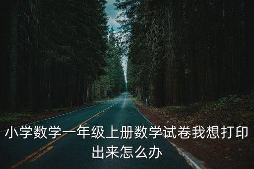 小學數學一年級上冊數學試卷我想打印出來怎么辦