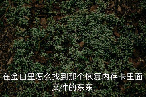金山里，上海金山里閔行有多遠(yuǎn)