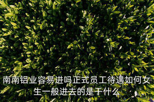 東莞南鋁鋁業(yè)，南南鋁業(yè)股份有限公司 是國企嗎 根據(jù)是什么