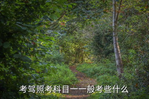 考駕照考科目一一般考些什么