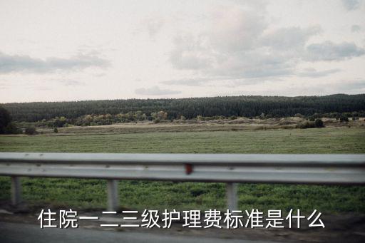 住院一二三級(jí)護(hù)理費(fèi)標(biāo)準(zhǔn)是什么