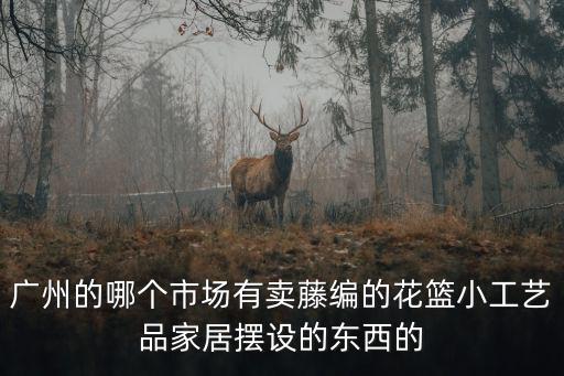 廣州的哪個市場有賣藤編的花籃小工藝品家居擺設的東西的