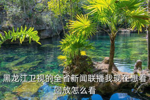 黑龍江衛(wèi)視的全省新聞聯(lián)播我現(xiàn)在想看回放怎么看