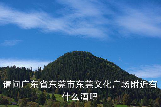 請問廣東省東莞市東莞文化廣場附近有什么酒吧