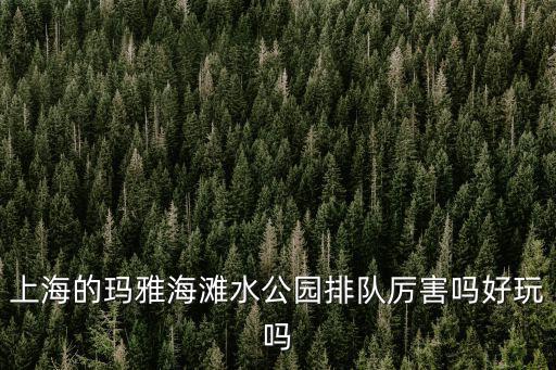 上海的瑪雅海灘水公園排隊厲害嗎好玩嗎