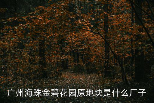 廣州海珠金碧花園原地塊是什么廠子