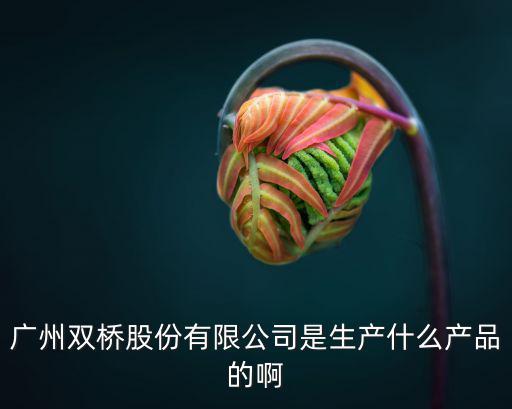 廣州雙橋總資產(chǎn)，廣州雙橋味精廠是那年創(chuàng)立