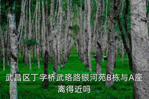 武昌區丁字橋武珞路銀河苑B棟與A座離得近嗎