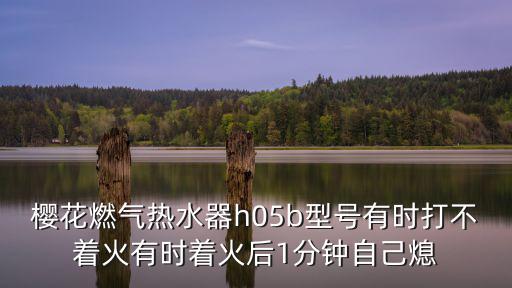 櫻花燃氣熱水器h05b型號有時打不著火有時著火后1分鐘自己熄