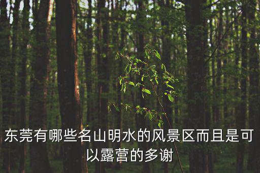 東莞有哪些名山明水的風景區而且是可以露營的多謝