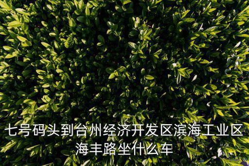 七號(hào)碼頭到臺(tái)州經(jīng)濟(jì)開(kāi)發(fā)區(qū)濱海工業(yè)區(qū)海豐路坐什么車