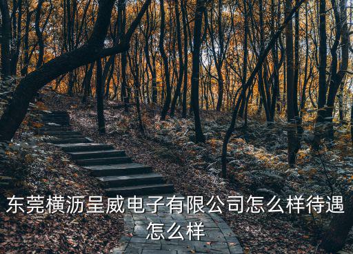 東莞立光智能，東莞橫瀝呈威電子有限公司怎么樣待遇怎么樣