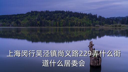 上海閔行吳涇鎮尚義路229弄什么街道什么居委會