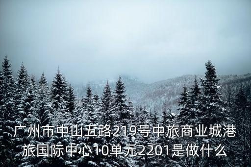 廣州市中山五路219號中旅商業(yè)城港旅國際中心10單元2201是做什么