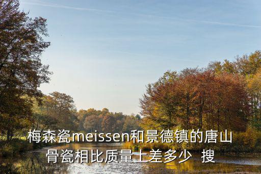 梅森瓷meissen和景德鎮的唐山骨瓷相比質量上差多少  搜