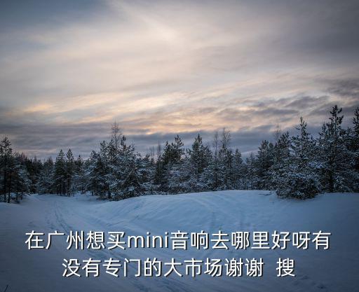 在廣州想買mini音響去哪里好呀有沒有專門的大市場謝謝  搜