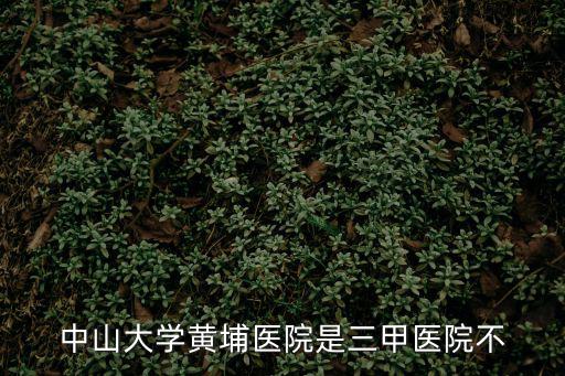 中山大學黃埔醫院是三甲醫院不
