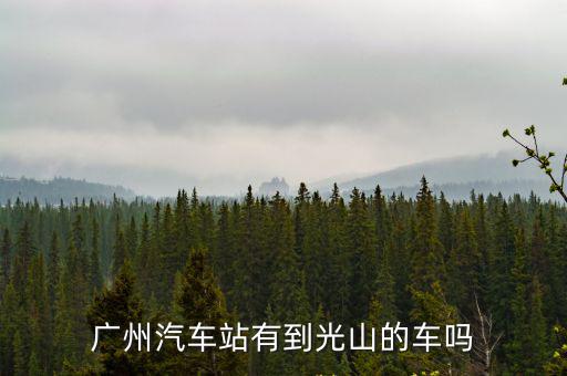 廣州汽車站有到光山的車嗎