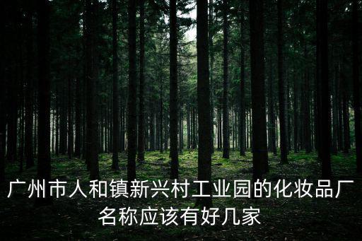 廣州市人和鎮新興村工業園的化妝品廠名稱應該有好幾家