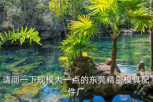 請問一下規(guī)模大一點(diǎn)的東莞精密模具配件廠