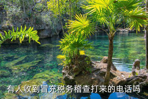 有人收到冒充稅務稽查打來的電話嗎