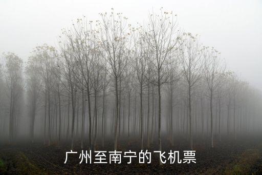 廣州至南寧的飛機票