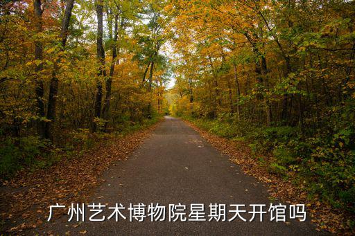 廣州藝術(shù)博物院星期天開館嗎