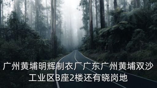 廣州黃埔明輝制衣廠廣東廣州黃埔雙沙工業(yè)區(qū)B座2樓還有曉崗地