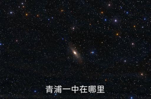 青浦一中在哪里